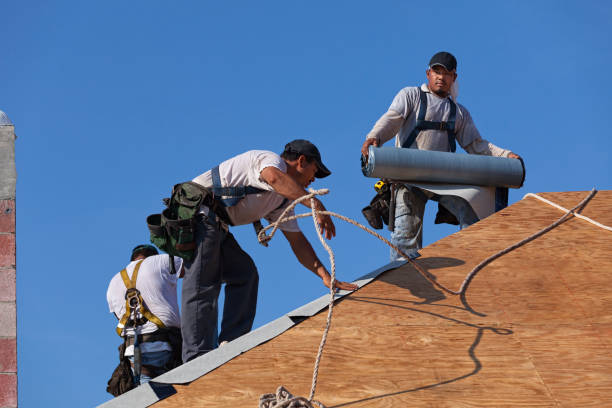 Best New Roof Installation  in Colstrip, MT