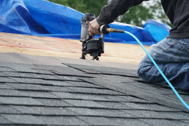 Best Local Roofing Companies  in Colstrip, MT