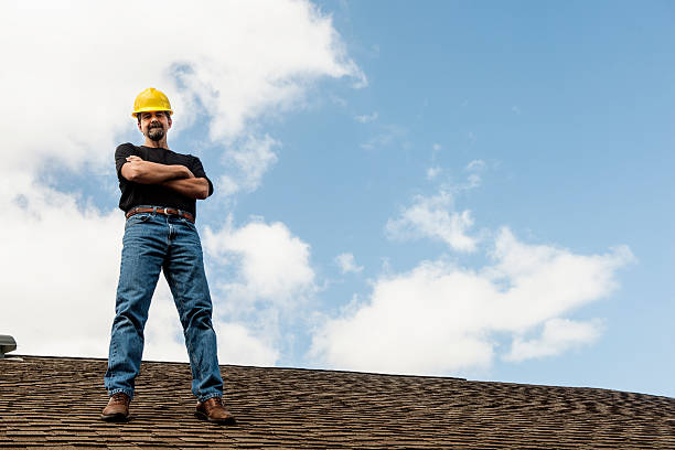 Best Roof Gutter Cleaning  in Colstrip, MT